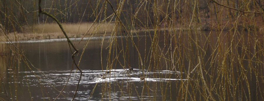 Trinkwasseruntersuchungen image1